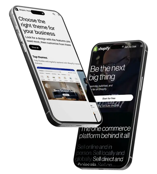 Shopify Store Design in Lubbock, TX